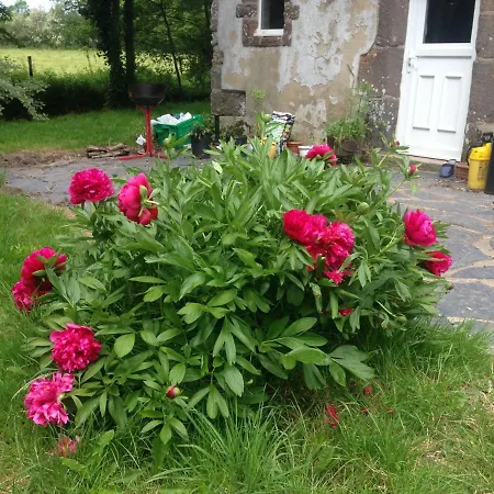 Appartement Atypique,ancien Moulin